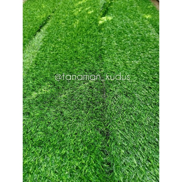 Jual Rumput Sintetis Tipe Swiss Tebal 2cm 20mm Ukuran 20x100 Cm