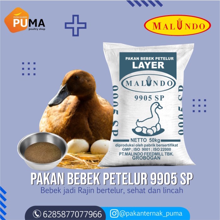 Jual Pakan Jadi Itik Petelur Malindo Sp Kg Shopee