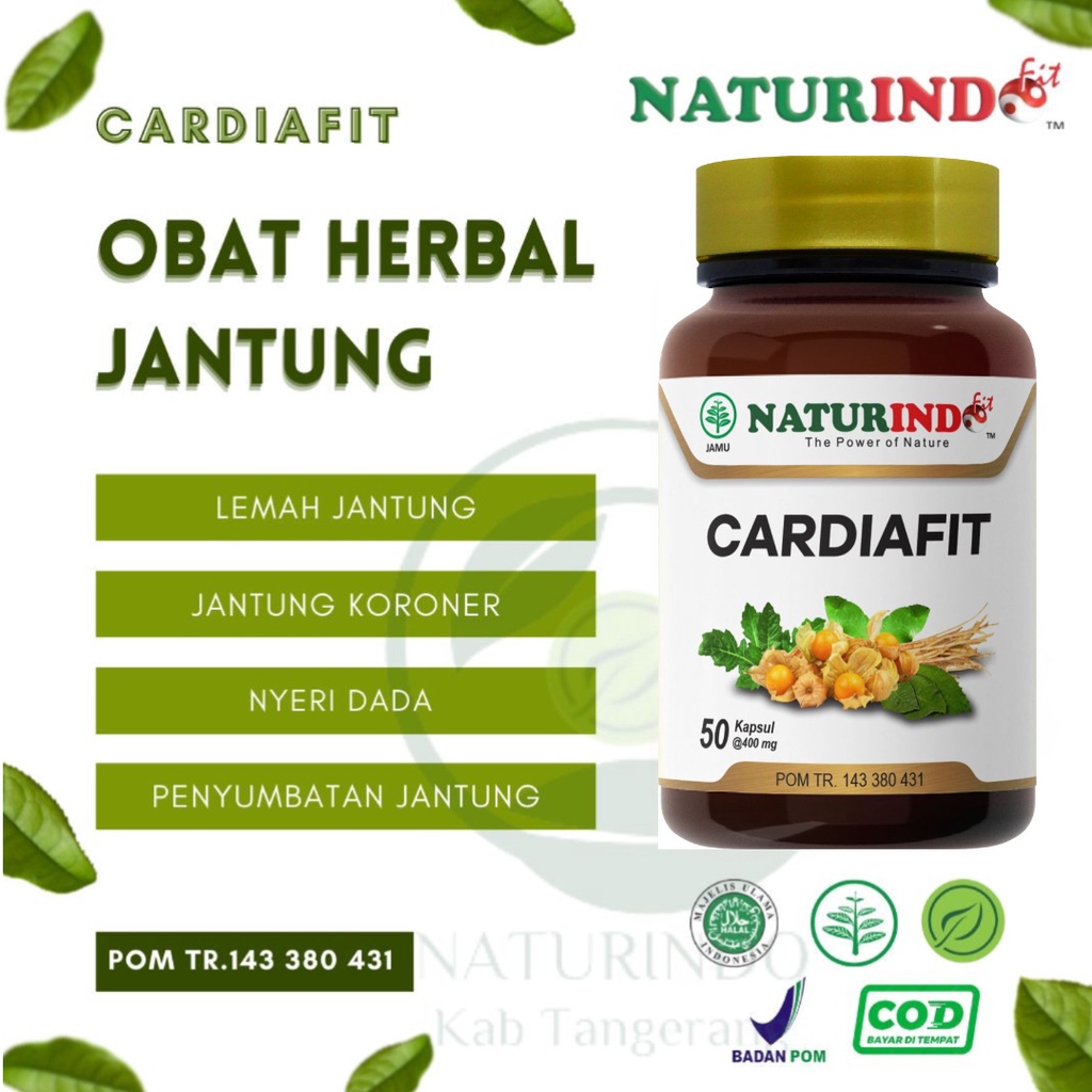 Jual Naturindo Cardiafit Obat Herbal Sakit Dada Jantung Koroner