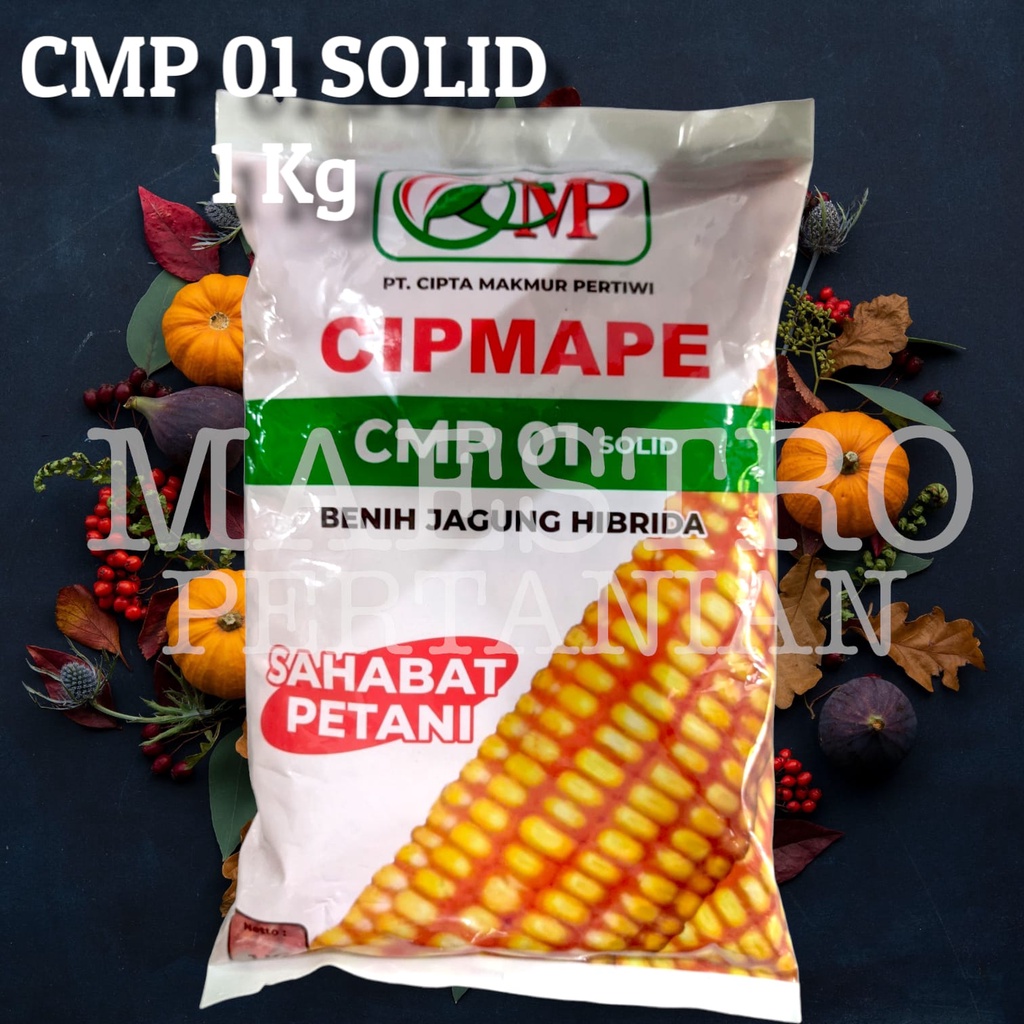 Jual Benih Jagung Hibrida Cipmape Kg Cmp Solid Pt Cipta Makmur