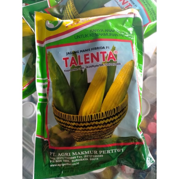 Jual Benih Jagung Manis Talenta Shopee Indonesia