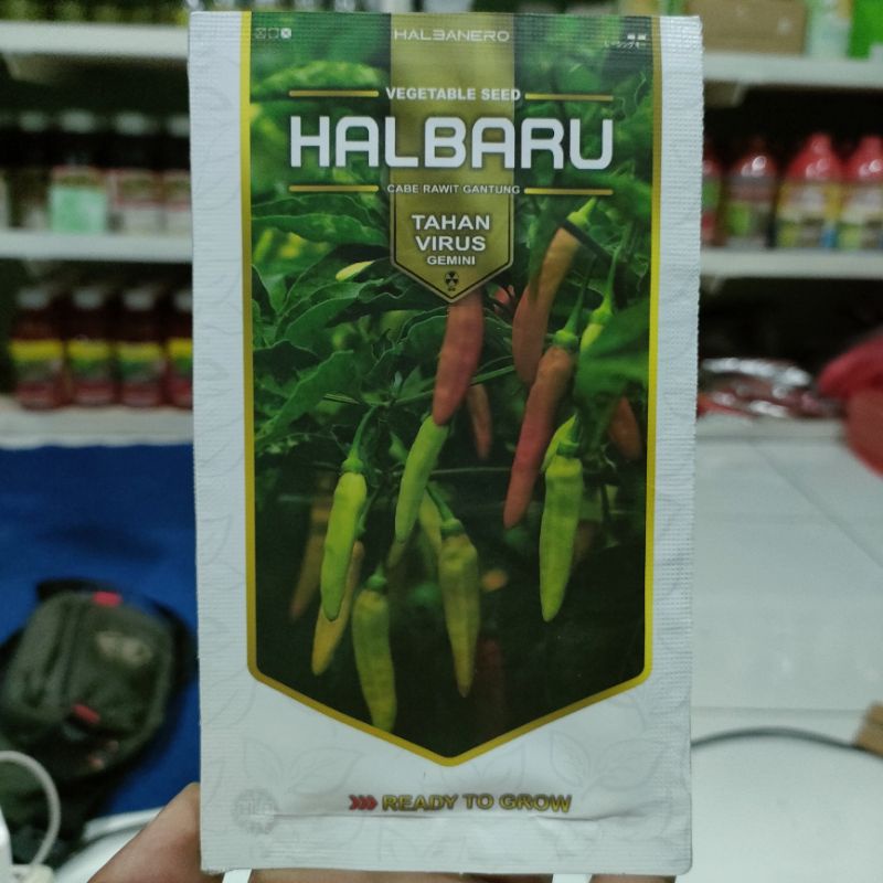 Jual Cabe Halbaru Gr Tahan Virus Original Pabrik Shopee Indonesia