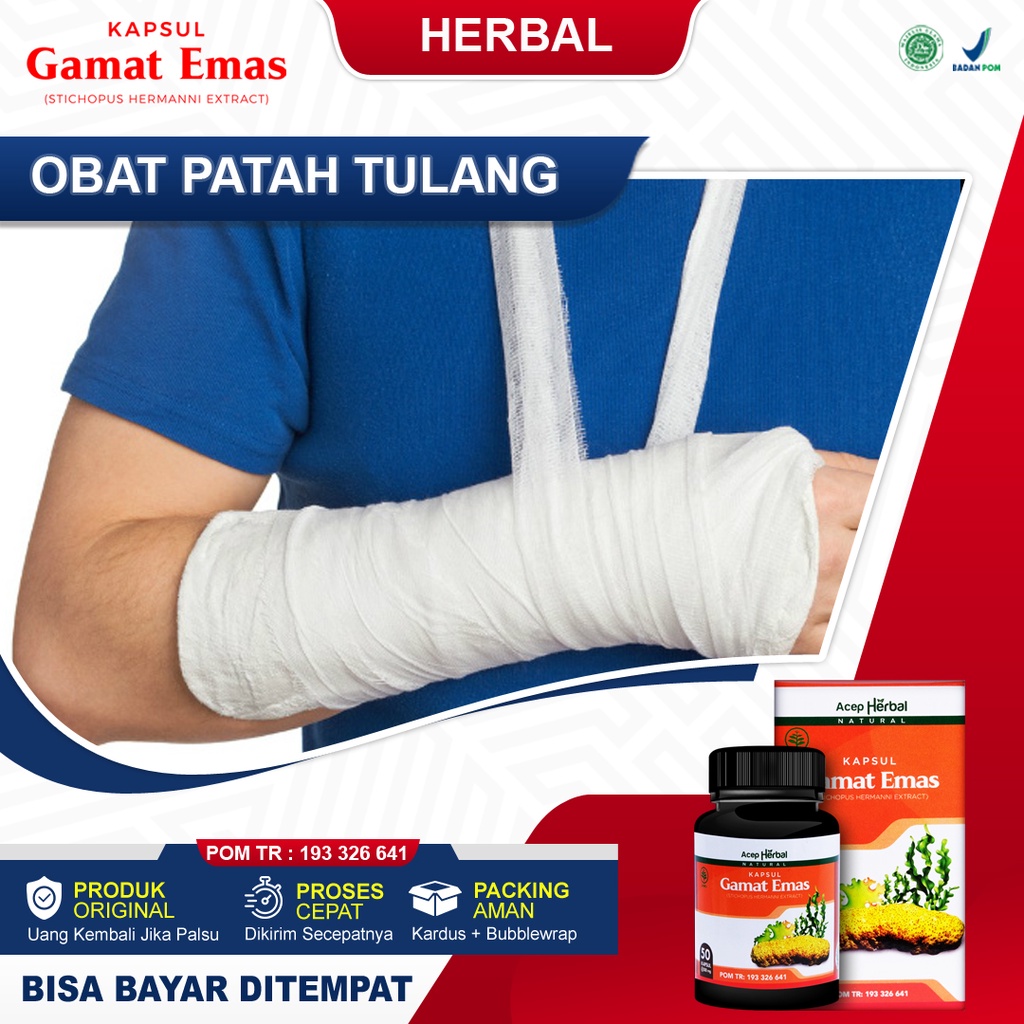 Jual Obat Patah Tulang Obat Tulang Remuk Tulang Keropos Tulang