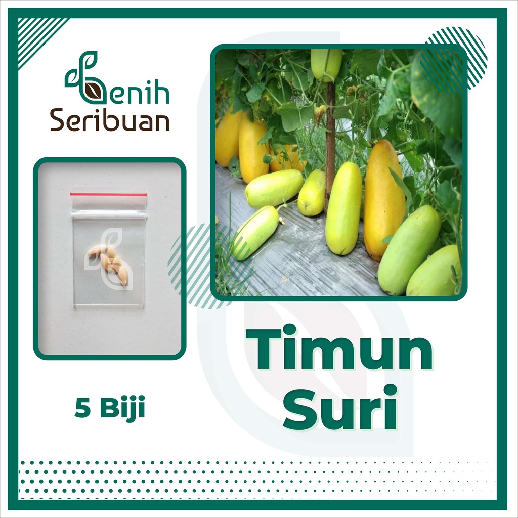 Jual Benih Seribuan Aneka Bibit Buah Buahan Hibrida Varian Unggulan