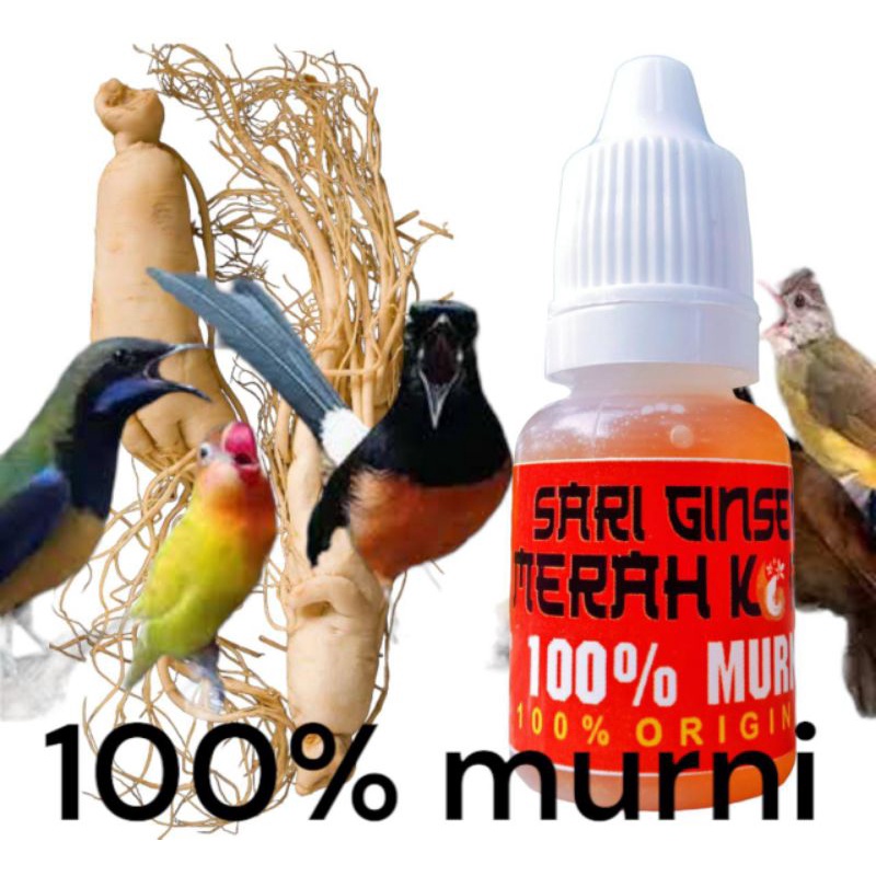 Jual Vitamin Burung Kicau Ocehan Sari Ginseng Merah Korea Murni Ml