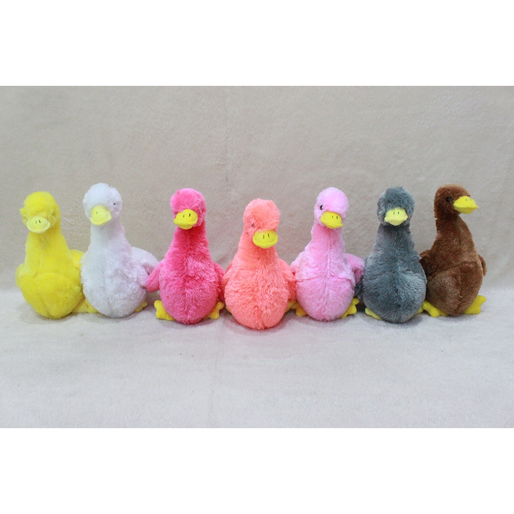 Jual Boneka Duck Lucu Warna Warni Bebek Gemoy Ukuran M Shopee