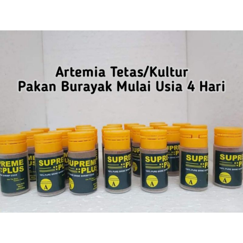 Jual Artemia Supreme Plus Artemia Tetas Kultur Pakan Burayak Cupang