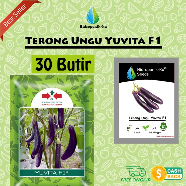 Jual Bibit Benih Terong Ungu Butir Cap Panah Merah Hidroponik Ku