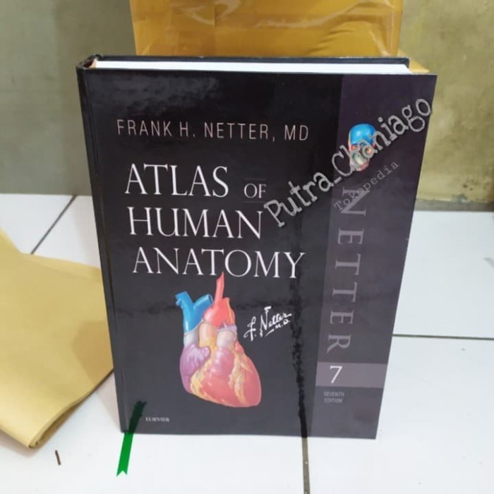 Jual Buku Atlas Of Human Anatomy 7th Seventh Edition By Frank Netter 7