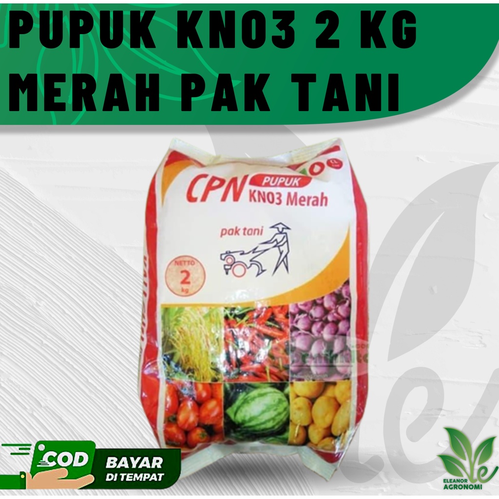 Jual Pupuk Kno3 2 Kg Merah Pak Tani Teknologi Sqm Bebas Chlor