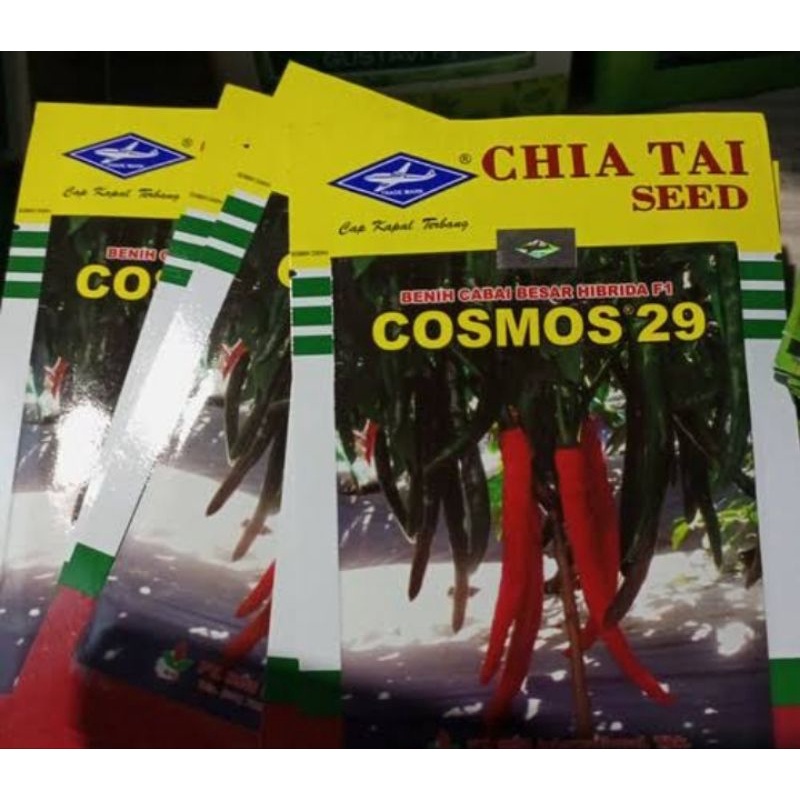 Jual Benih Cabe Besar F Cosmos Gr Exfired Shopee