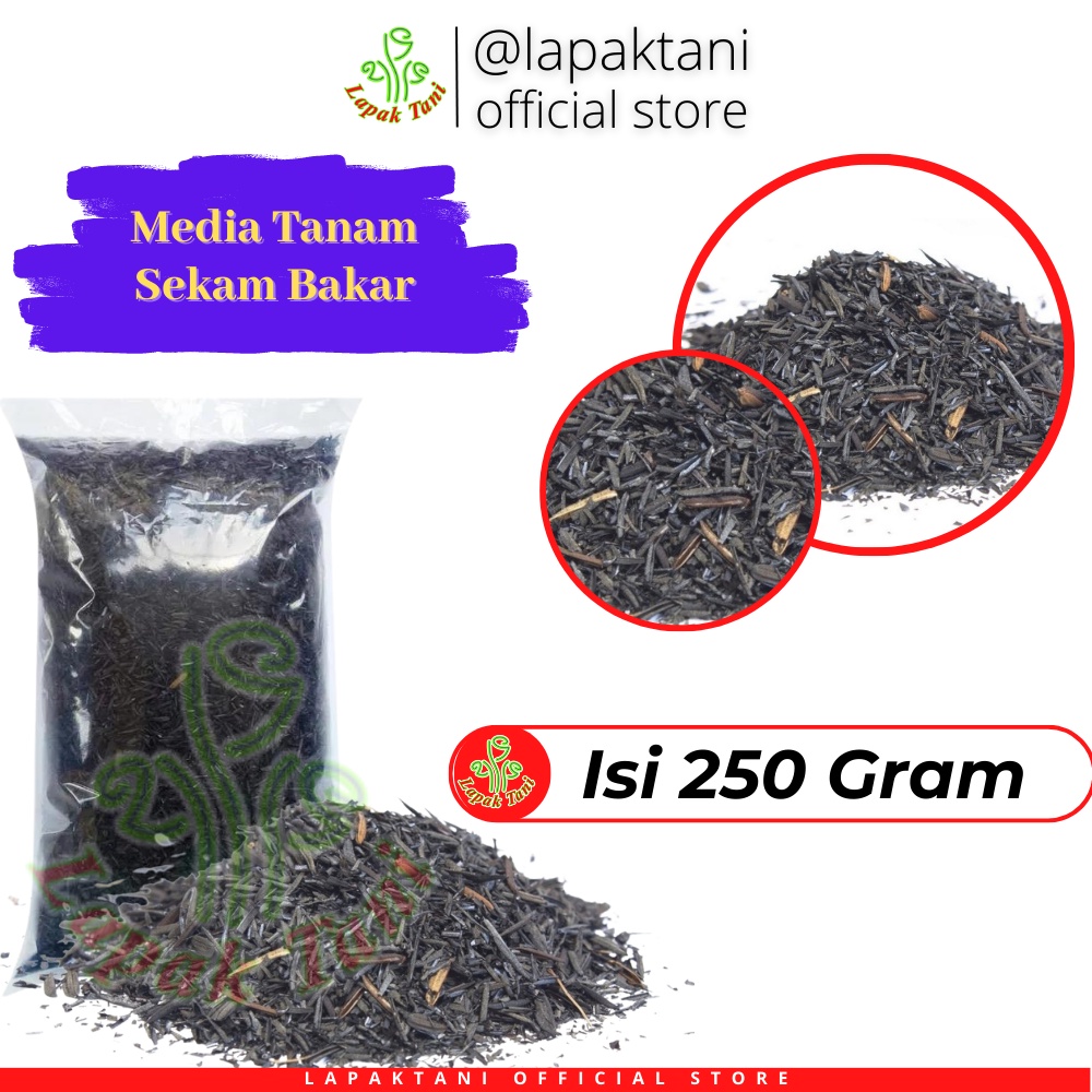 Jual Media Tanam Sekam Bakar Murni Repack Gr Shopee Indonesia