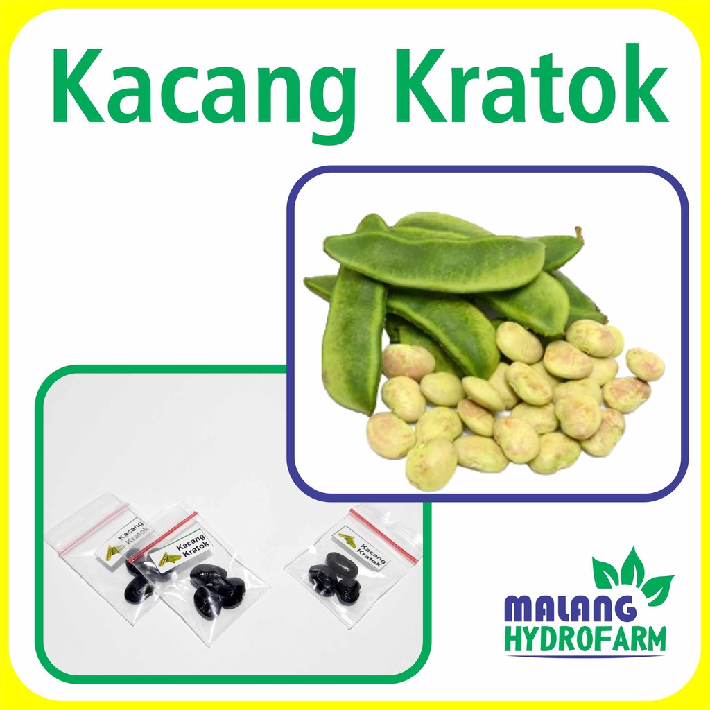 Jual Benih Kacang Kratok Unggulan Berkualitas Biji Bibit Repack Kekara