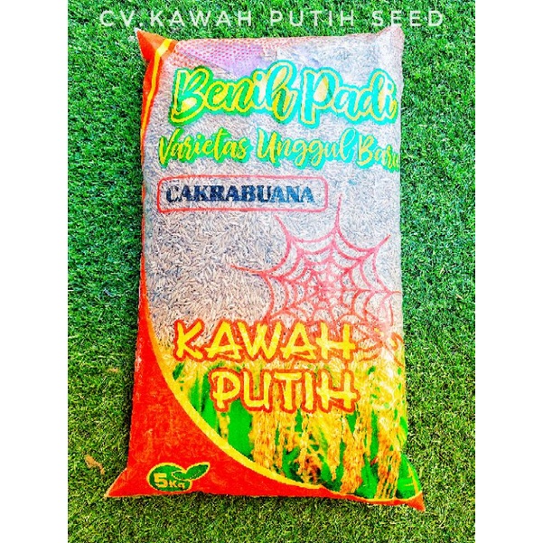 Jual Benih Padi Cakrabuana Agritan 5kg Bersertifikat Label Ungu Kawah