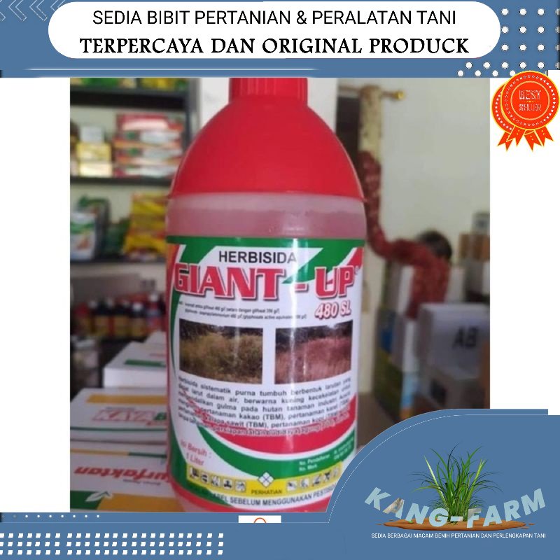 Jual Herbisida Giant Up Slkemasan Liter Glifosat Obat Rumput