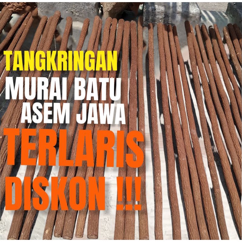 Jual TANGKRINGAN ASEM JAWA TETEHAN SUPER LOMBA BURUNG MURAI KACER