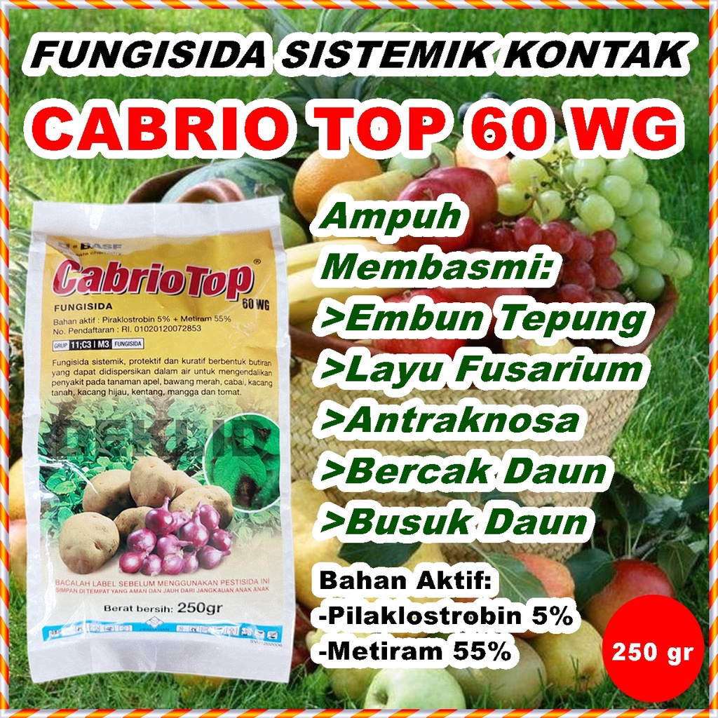 Jual Cabrio Top 60 WG 250 Gram Cabriotop Fungisida Sistemik Pestisida