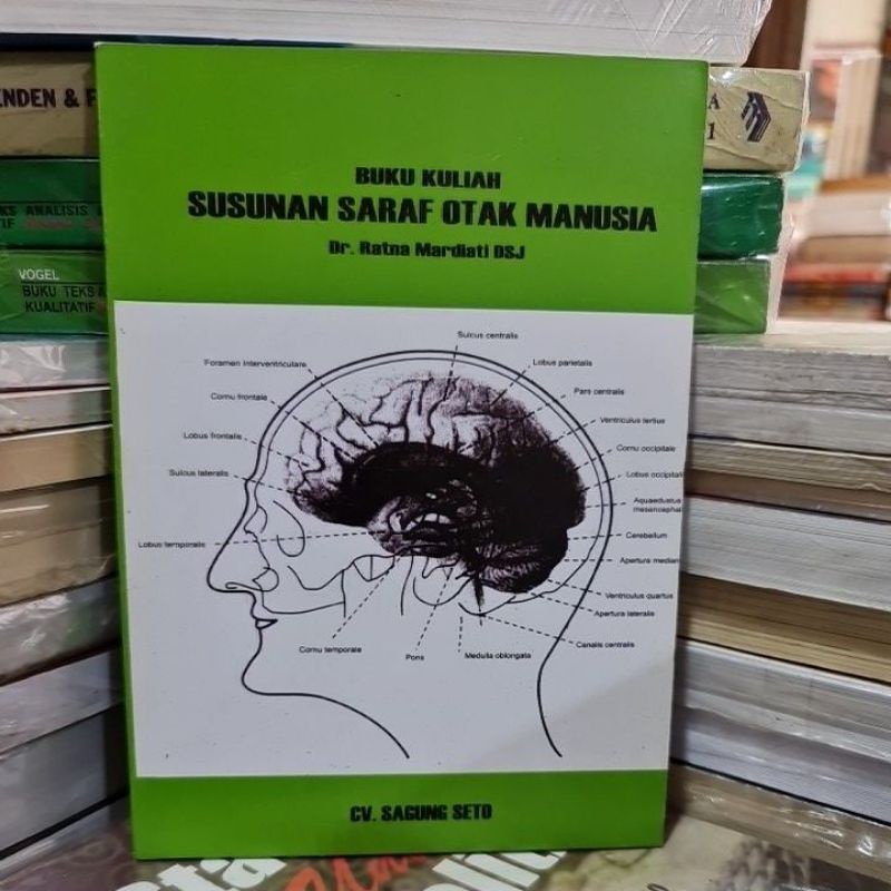 Jual Buku Kuliah Susunan Saraf Otak Manusia By Dr Ratna Mardiati