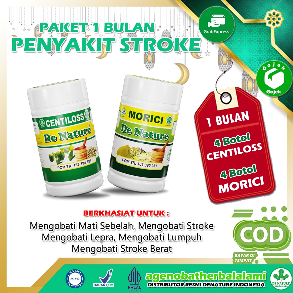 Jual Obat Stroke Struk Struk Sebelah Struk Ringan Struk Menahun