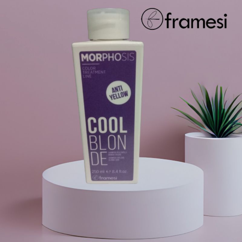 Jual Framesi Morphosis Cool Blonde Shampoo 250ml Shopee Indonesia