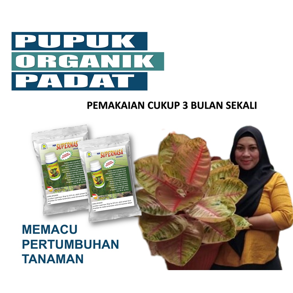 Jual Pupuk Padat 30 Gr Murah Untuk Tanaman Hias Pot Aglonema Anthurium