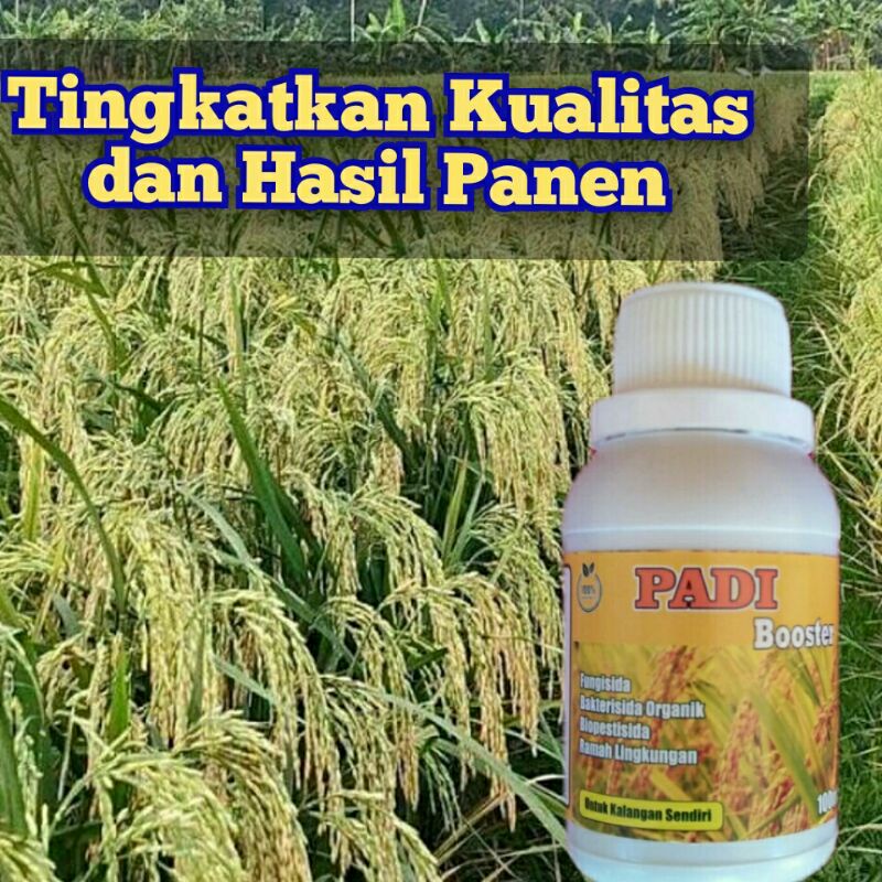 Jual Pupuk Padi Booster Nutrisi Obat Penambah Bobot Padi Shopee