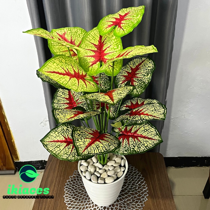 Jual DAUN AGLONEMA ARTIFICIAL DAUN MONSTERA PLASTIK BUNGA KELADI HIAS