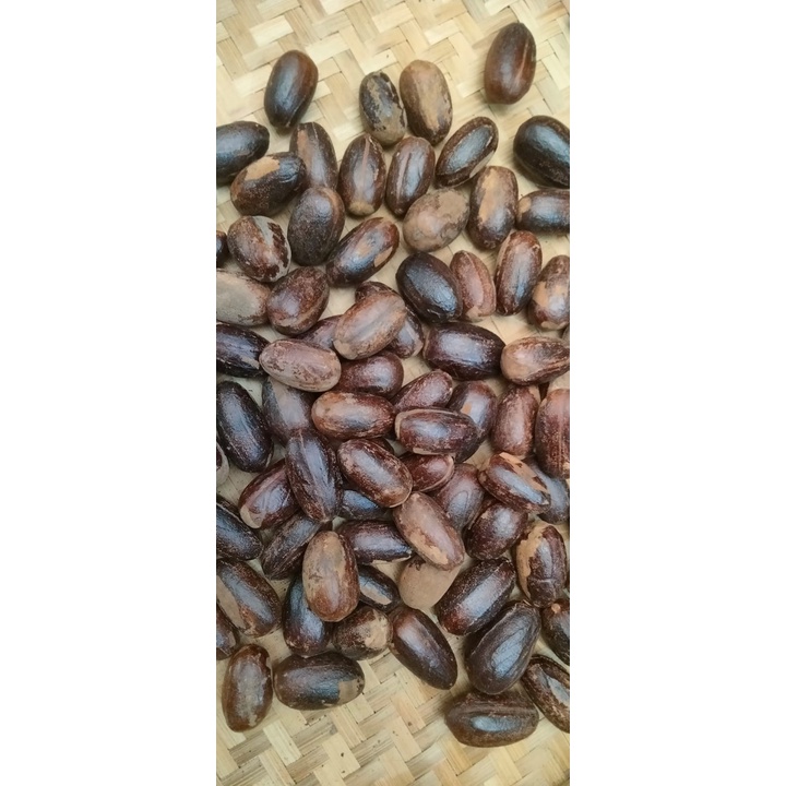 Jual Biji Pala Utuh Segar Fresh Whole Nutmeg Seed Kemasan Vacuum 1