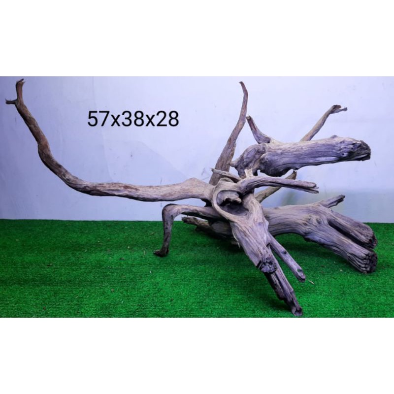 Jual Kayu Santigi Laut Kayu Tenggelam Aquascape Channa 57x38x28