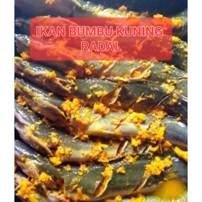 Jual Ikan Lele Bumbu Kuning Shopee Indonesia