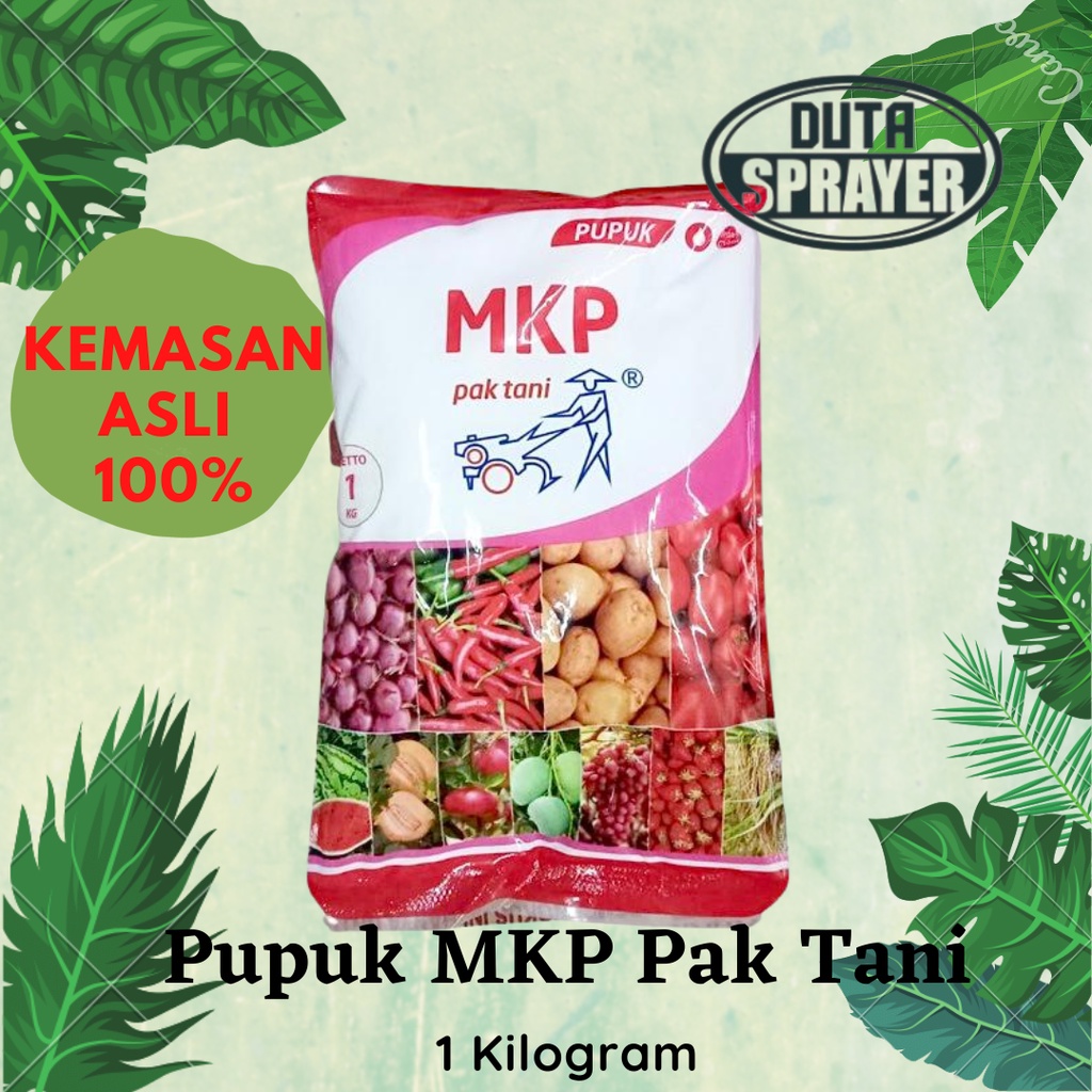 Jual Pupuk Mkp Mono Kalium Phosphate Pak Tani Kg Kemasan Pabrik