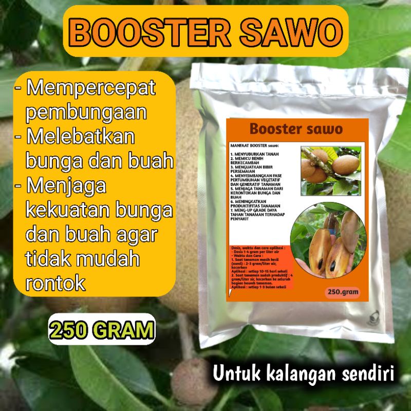 Jual Pupuk Booster Sawo Perangsang Bunga Dan Buah Melebatkan Dan