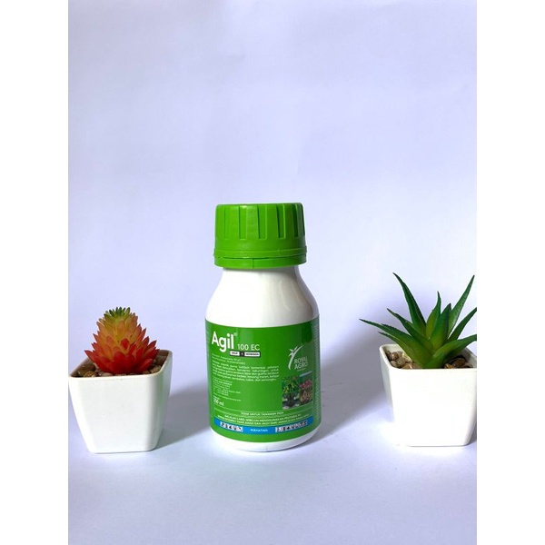 Jual HERBISIDA AGIL 100EC 250Ml Shopee Indonesia