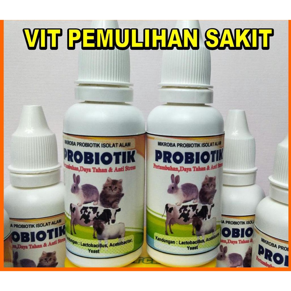 Jual Vitamin Probiotik Kelinci Jual Obat Probiotik Kelinci Vitamin