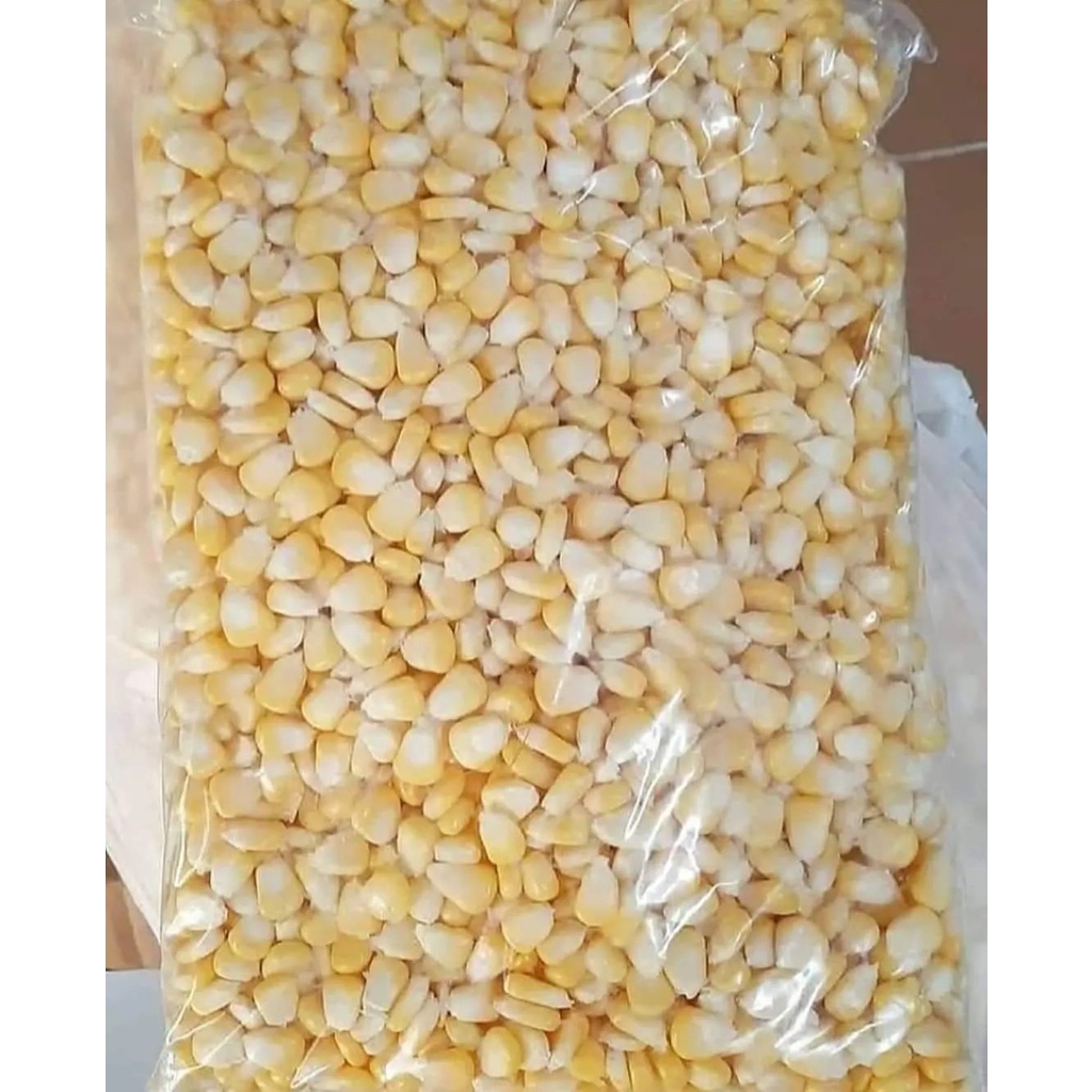 Jual Jagung Pipil Kg Shopee Indonesia