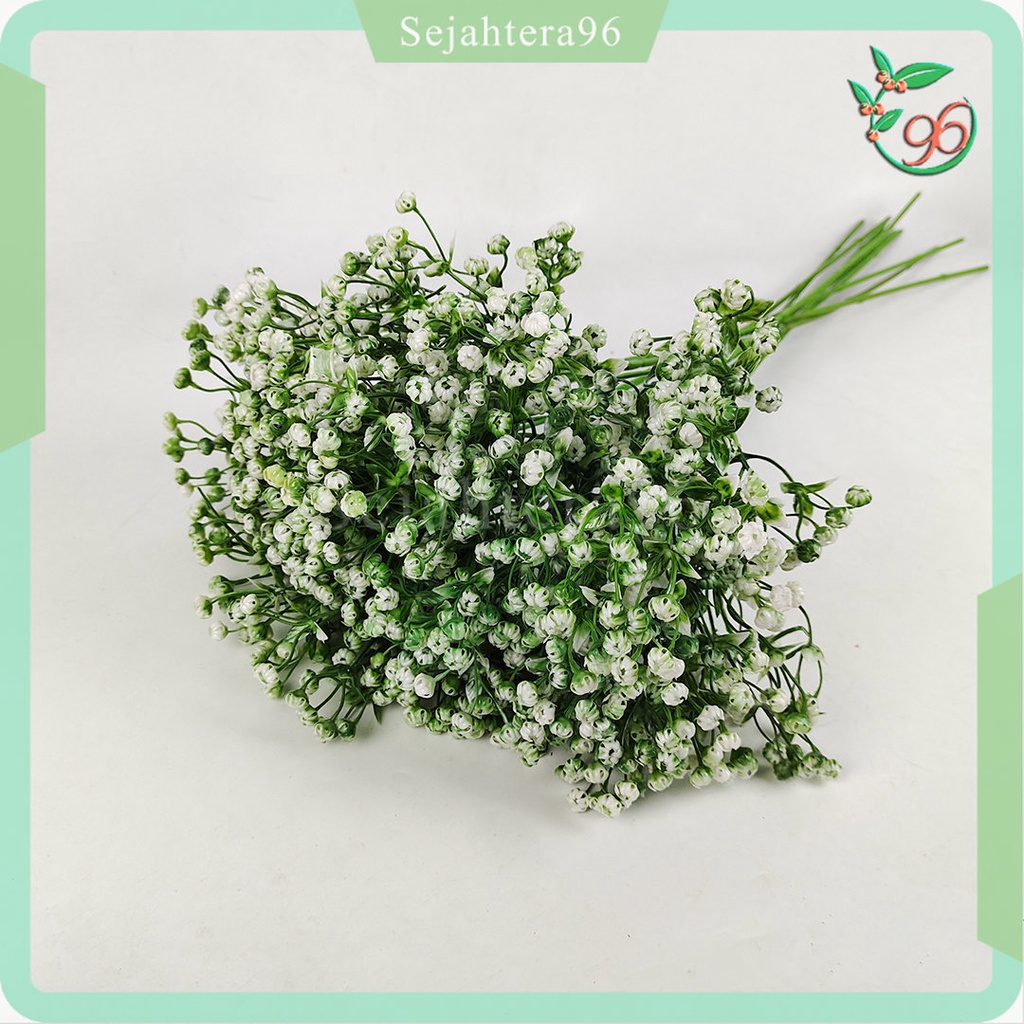 Jual Gypso Tangkai Panjang Pikok Gypsophilia Baby Breath Bunga