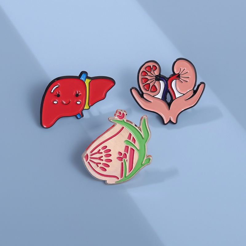 Jual Pin Enamel Organ Medis Bros Dada Jantung Hati Dan Ginjal Anatomi