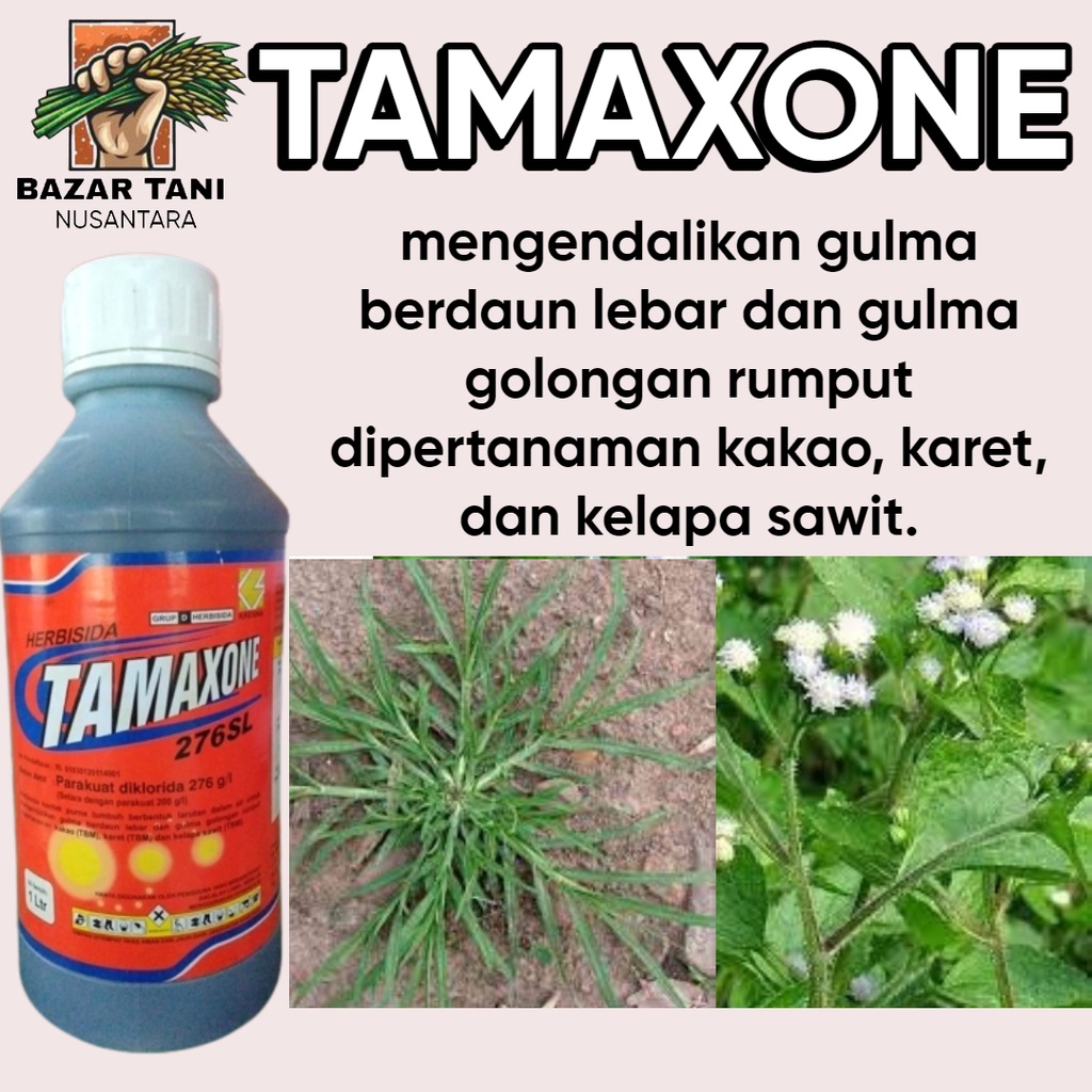 Jual Btn Herbisida Kontak Tamaxone 1 Liter Paraquat Racun Rumput