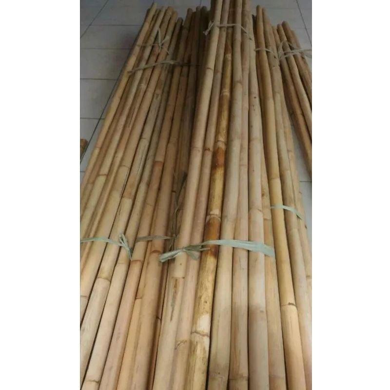 Jual Toya Rotan Asli Stik Rotan Toya Pencak Silat Tongkat Rotan Toya