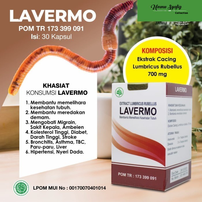 Jual LAVERMO Kapsul Ekstrak Lumbricus Obat Demam Bs Shopee Indonesia