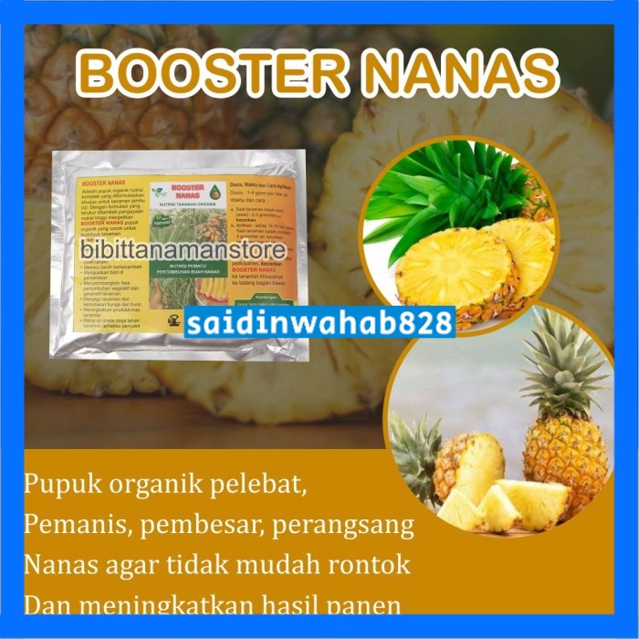 Jual Pupuk Organik Pelebat Buah Dan Booster Nanas Cepat Berbuah Lebat