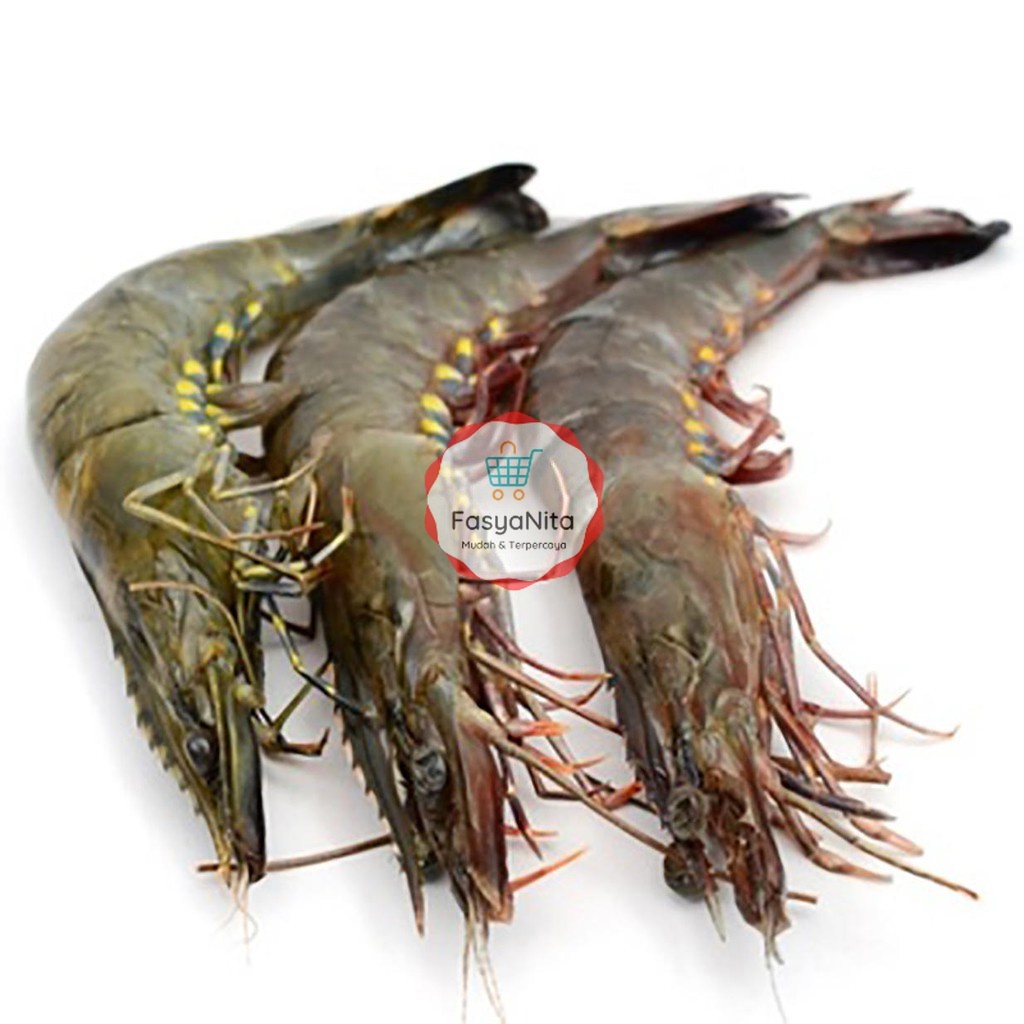 Jual Udang Segar Udang Vaname Windu Qualitas Super Shopee Indonesia