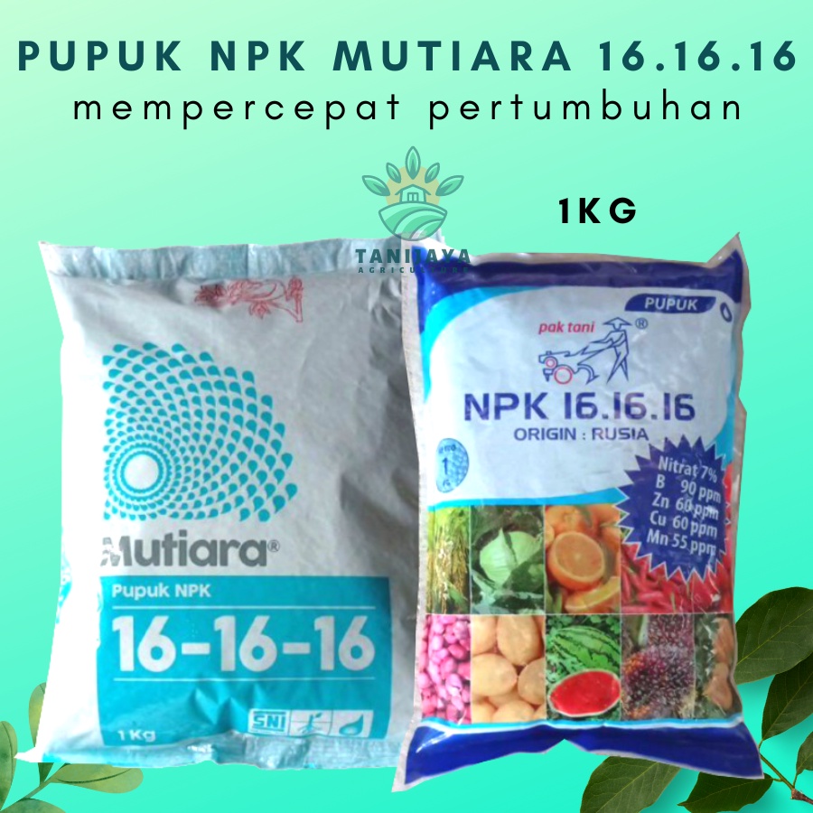 Jual Pupuk NPK Mutiara 16 16 16 Mempercepat Pertumbuhan Kemasan 1 Kg