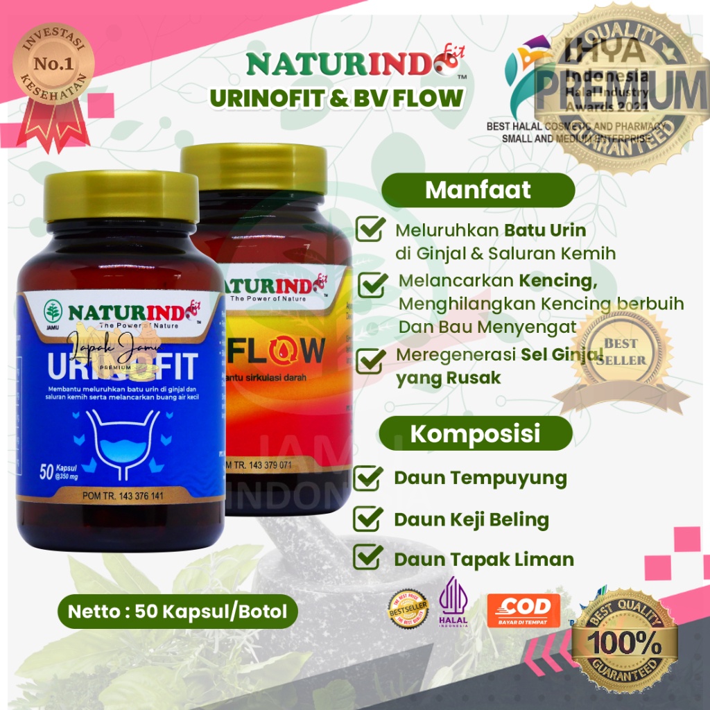 Jual Obat Ginjal Bengkak Batu Ginjal Herbal Ginjal Peluruh Batu Ginjal