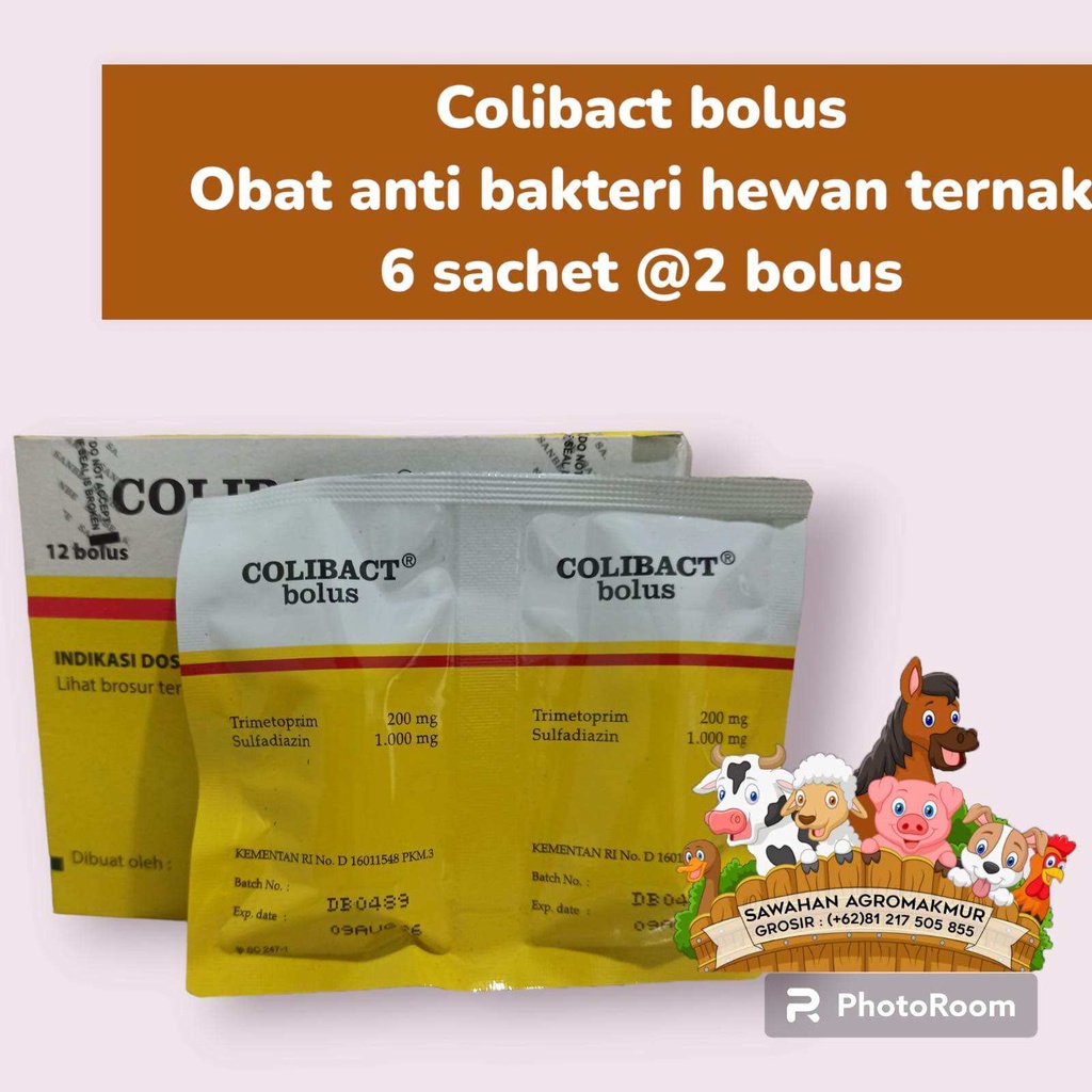 Jual COLIBACT BOLUS 1 BOX ISI 12 BOLUS OBAT HEWAN BATUK PILEK MENCRET