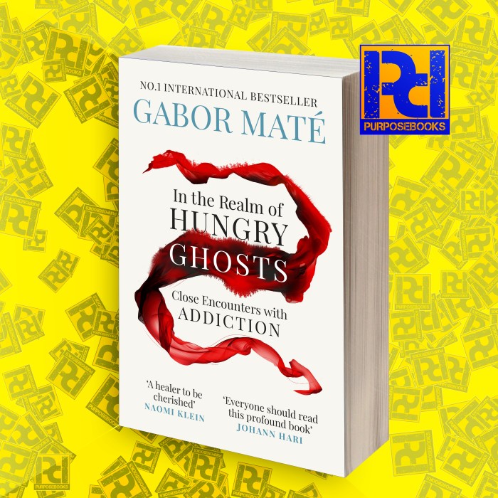 Jual In the Realm of Hungry Ghosts Gabor Maté MD Mate Gabor Books