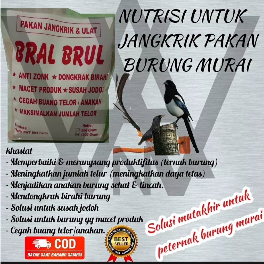 Jual Pakan Jangkrik Murai Batu Nutrisi Vitamin Jangkrik Murai Medan