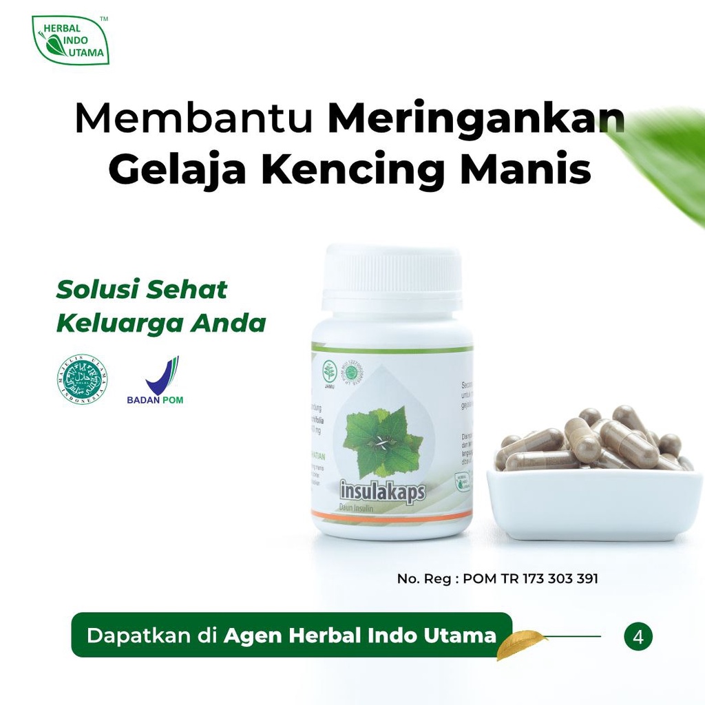 Jual Kapsul Insulin Herbal Insulakaps Herbal Indo Utama Obat Diabetes