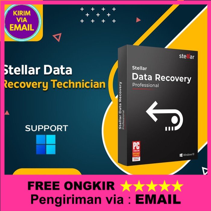 Jual Stellar Data Recovery Technician Full Version Win Lifetime