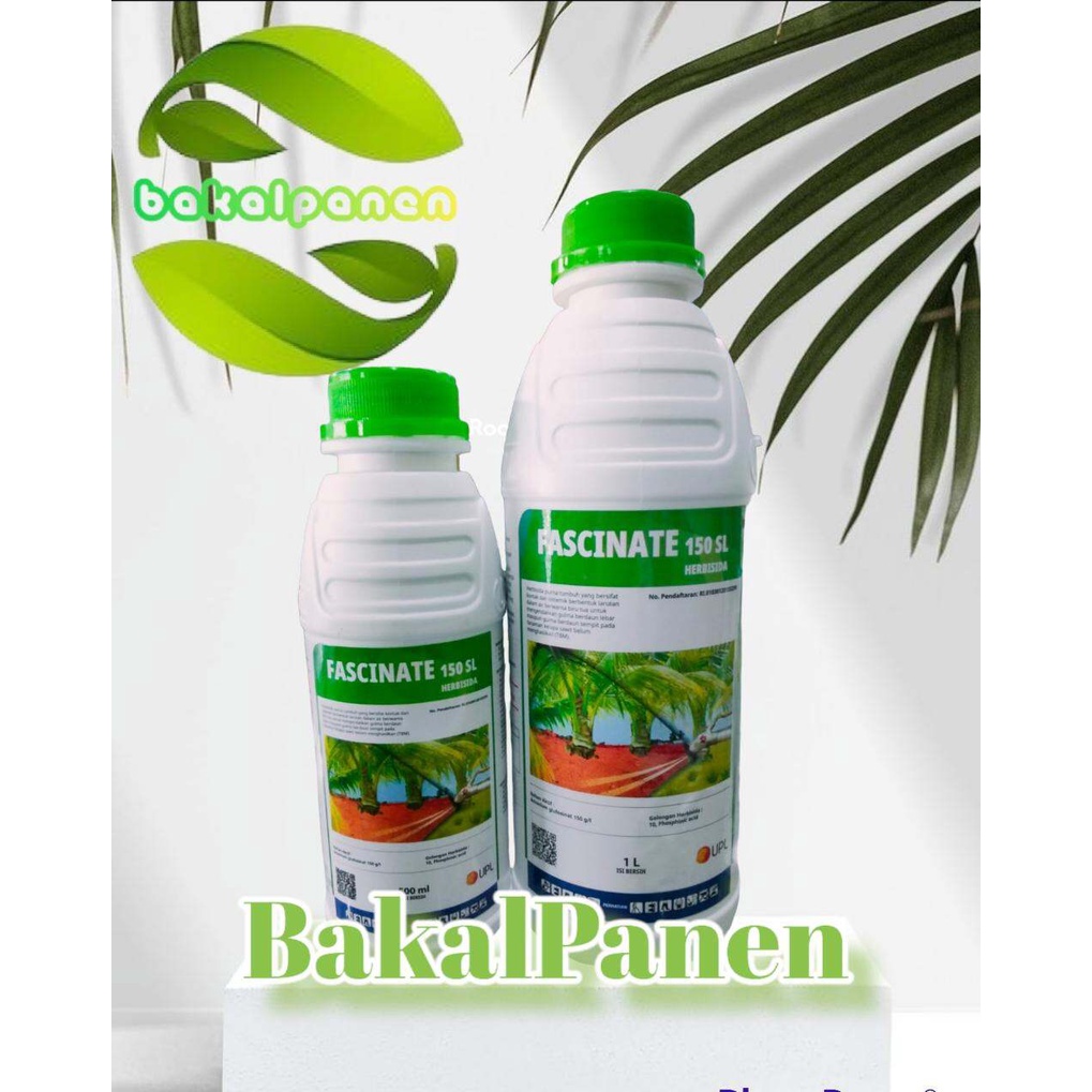 Jual Herbisida Kontak Sistemik FASCINATE 150SL Ammonium Glifosianat